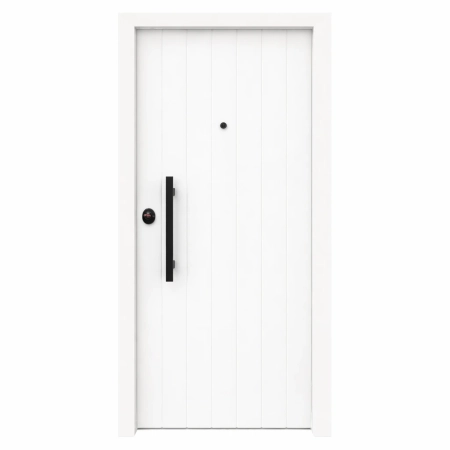 houston-thorakismeni-porta-asfaleias